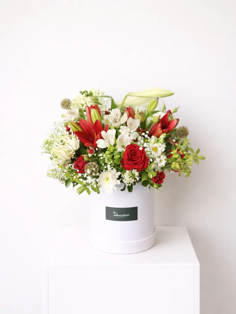 Boxed Love Christmas Garden arrangement with festive red, green, and white seasonal flowers – Christchurch florist