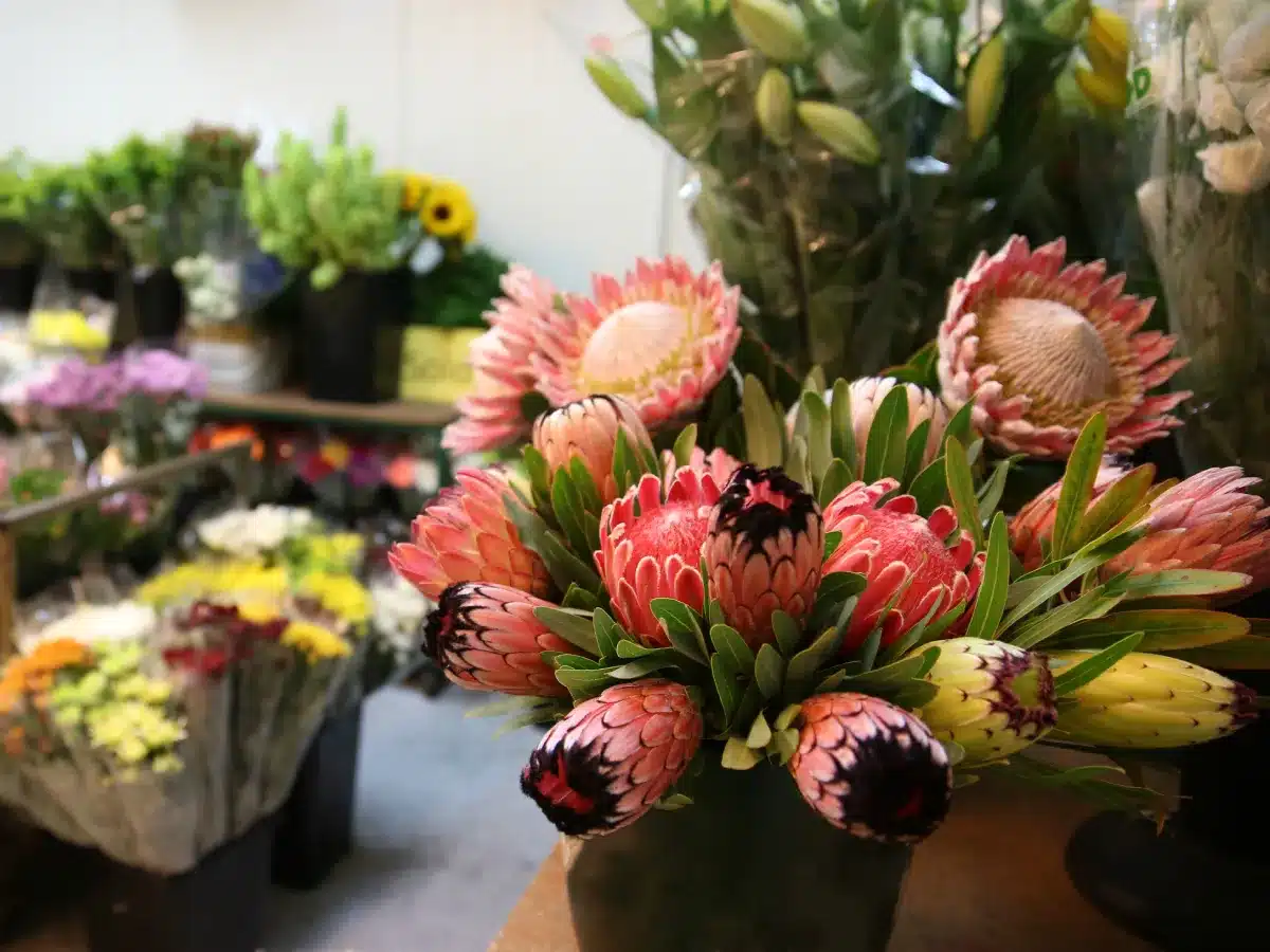Fresh flowers and foliage in the cool room at Downies Flowers, Christchurch
